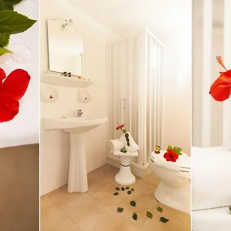 Hotell (adults Only)